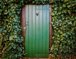 Puerta de madera bonita