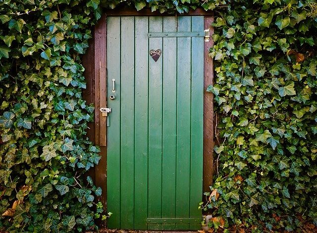 Puerta de madera bonita